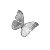 Telegram profile photo for Tᴇsᴛɪᴍᴏɴɪ