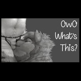 Telegram profile photo for Big Memes