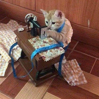 Telegram profile photo for Всë херня давай по новой || Dzëshiko cos