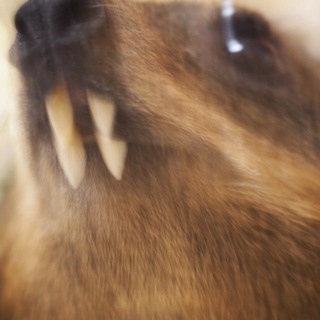 Telegram profile photo for модерация улиц
