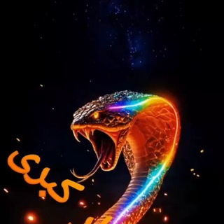 Telegram profile photo for گایشگاه مار کبرا320