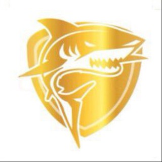 Telegram group profile photo for 🚀TRADE VIP GROUP 💋