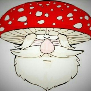 Telegram profile photo for за МУХОМОРами