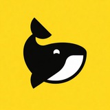 Telegram profile photo for کلوپ FX GOLD MARKET