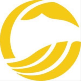 Telegram profile photo for Project: One Whale