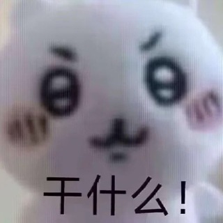 Telegram profile photo for 南京围子生活照📷