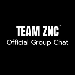 Telegram group profile photo for ZNC HUB CHAT