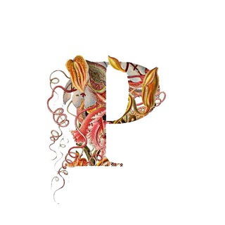 Telegram profile photo for پرگار