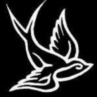 Telegram profile photo for چلچله