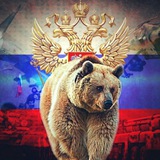 Telegram profile photo for КоновалTV+