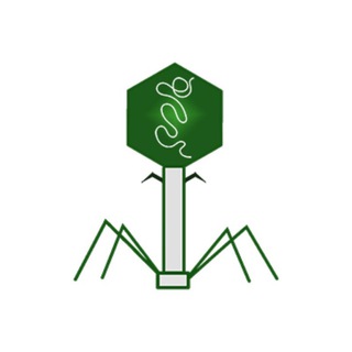 Telegram profile photo for Bacteriophage.news
