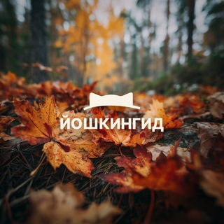 Telegram profile photo for Йошкин гид