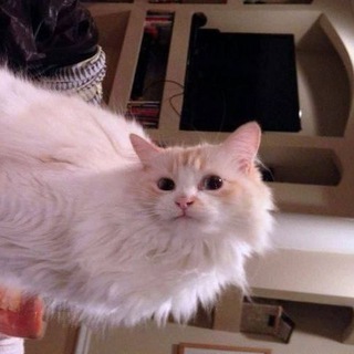 Telegram profile photo for МЫ МЕ