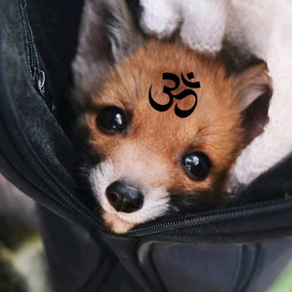 Telegram profile photo for #borjomi1022