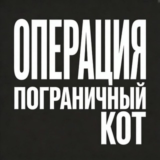 Telegram profile photo for Операция "Пограничный Кот"