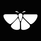Telegram profile photo for MothVPN