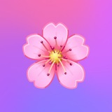 Telegram profile photo for солитам