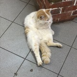 Telegram profile photo for Мусорка курильщика