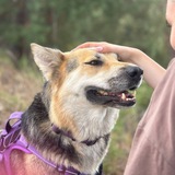 Telegram profile photo for Кадры Ханти