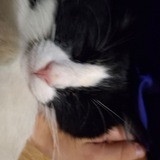 Telegram profile photo for Хз че писать