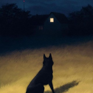 Telegram profile photo for Следы.