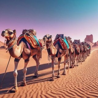 Telegram profile photo for ✨🇺🇿Milliy Yuk Karvoni🇺🇿🐫✨