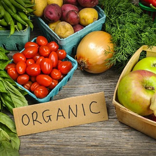 Telegram profile photo for ORGANIC TIME