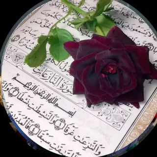 Telegram profile photo for ﺻۦﺪَﻗِـة جـَاريِـةَ🏳️