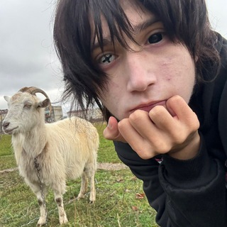 Telegram profile photo for кавайное болото