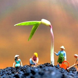 Telegram profile photo for 🌱 AGRICULTURE JRF BOOKS AND PDF