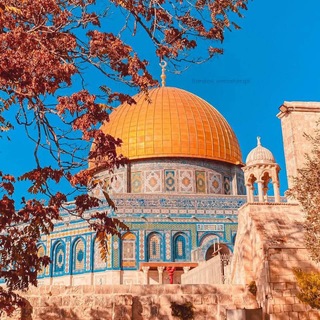 Telegram profile photo for أمُّ الجميع" علّمتني أُمّي" 🤍