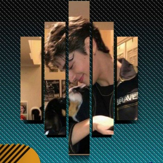 Telegram profile photo for Premium𓏺 Rox