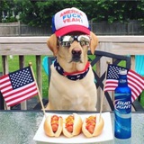 Telegram profile photo for Разъединённые Штаты Америки