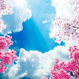 Telegram profile photo for انتخاب عکس آسمانخانه