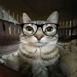 Telegram profile photo for Бездарь с ютуберкой 🤯