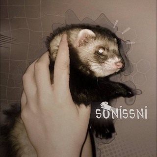 Telegram profile photo for ๐บ๐๐๐๐๐๐๐