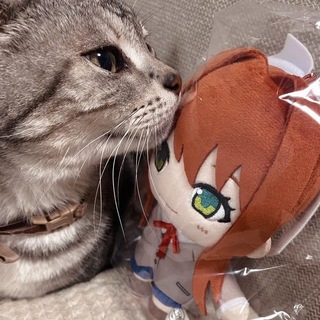 Telegram profile photo for Сайра икс