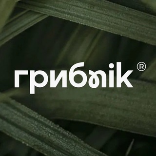Telegram profile photo for БИОХАКИНГ🧠 I ГРИБNIK™