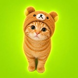 Telegram profile photo for MILLIO - Channel
