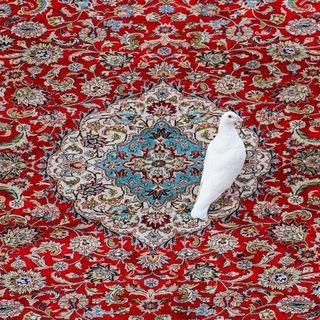 Telegram profile photo for ريحانة آل محمد