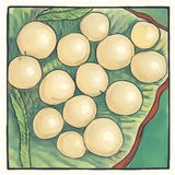 Telegram profile photo for White cherry NFT/ выдачи и отзывы