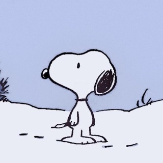Telegram profile photo for mira(cle)