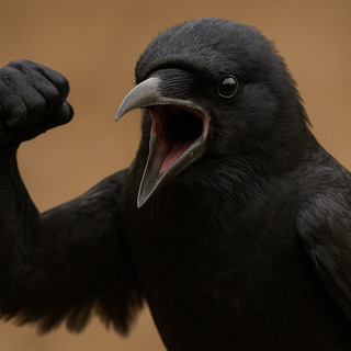 Telegram profile photo for 🐦⬛Crow Переходник🐦⬛