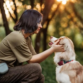 Telegram profile photo for ✨Логово комфортных🐾