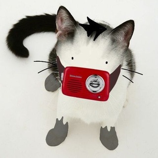 Telegram profile photo for ◇°•Radio-cat-
