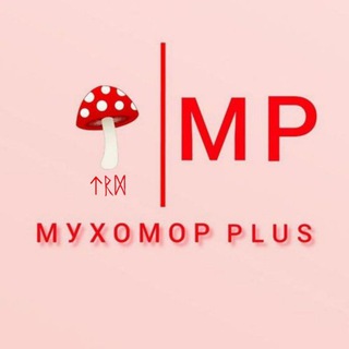 Telegram profile photo for Мухомор plus🍄