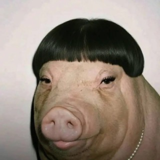 Telegram profile photo for Солдатик в крипте