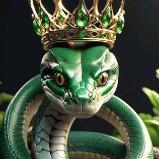 Telegram profile photo for مهره مار اصل هندوستان🇮🇳