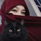 Telegram profile photo for Shunchaki