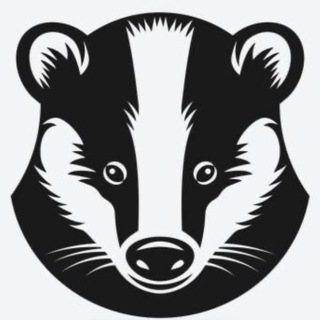 Telegram profile photo for Barsuk_Team